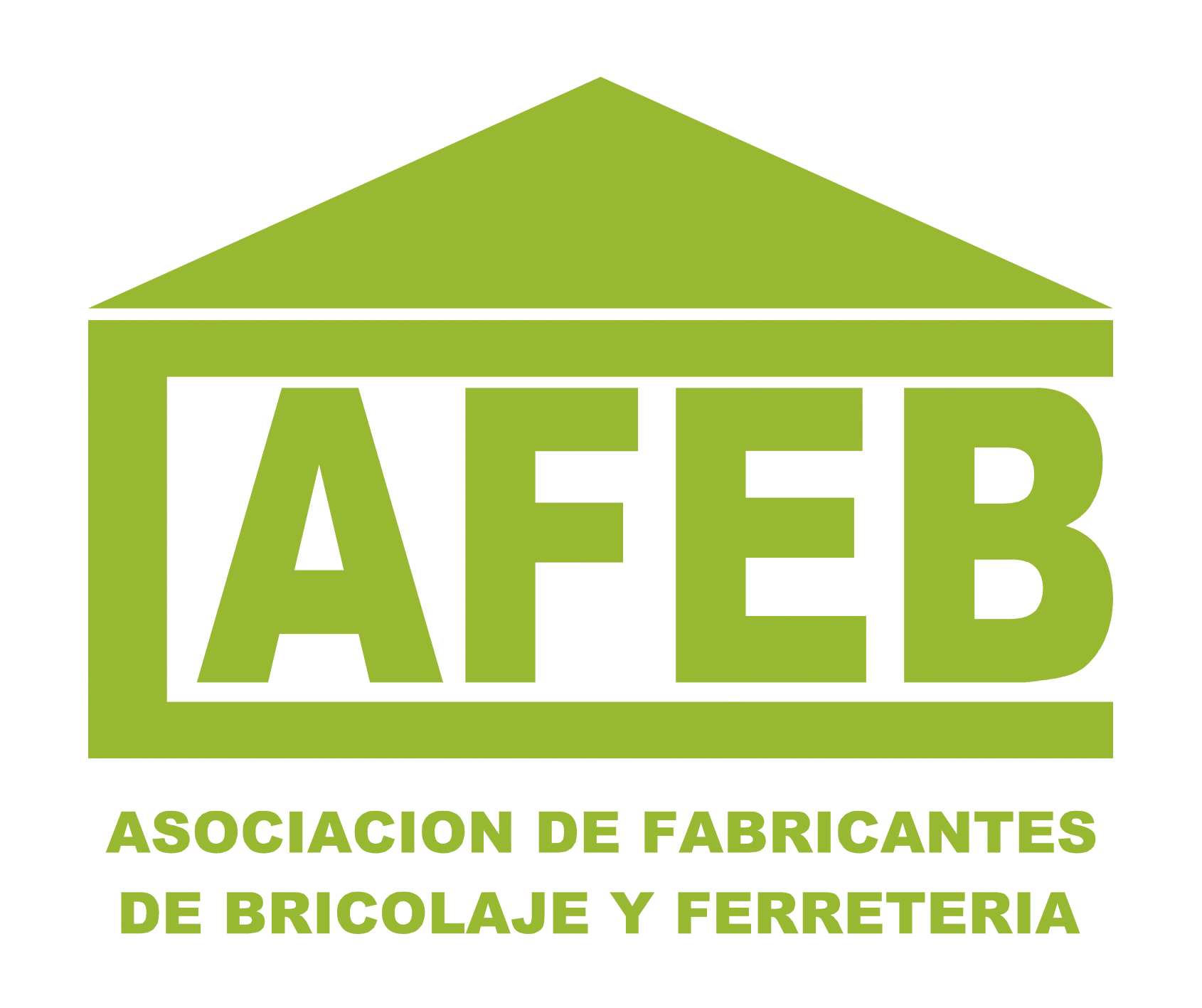 Presentación en el Foro AFEB