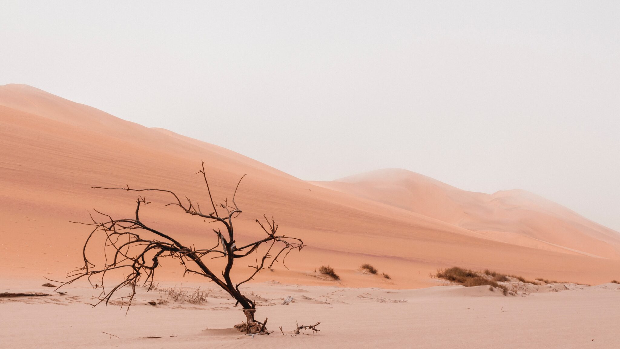 Facebook ha muerto… ¿seguro?